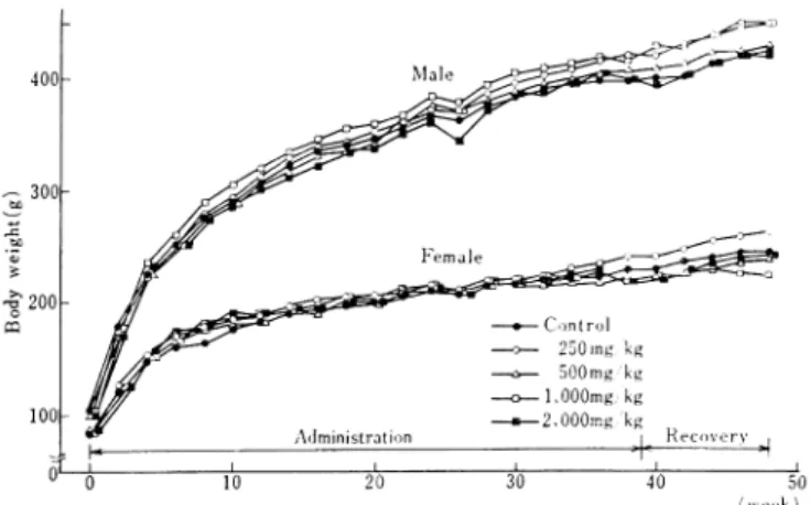Fig.  1  Body  weight  changes  in  rats  treated  orally  with  TMS-19-Q  for 9  months  and  recovered  for  2  months