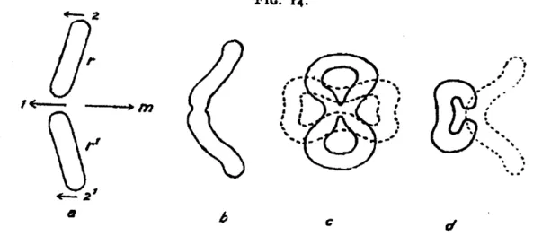 Figure 6: Sketch of interaction of two identical vortex rings launched on a collision course
