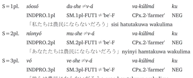 表 2-2：コピュラ形式の構造一覧  肯定形 否定形 現在 A  ni  B A  ni   B́  ku  （ A が 1sg および 2sg のとき，ni  は SM に置き換え可）  過去 A  SḾ≠ve  B  A  SḾ-ve≠í  B  A  SM≠ve   B́    ku  A  SM-ve≠í  B́  ku  未来 A  SḾ-she ≠ v- ( á )   B    A  SM-she ≠ v- ( á )   B́  ku  2.2  所有表現  2.2.1  現在時制  「～を