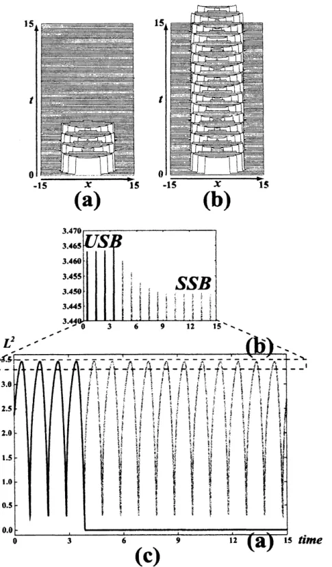 図 6.6: $\tau=0.04990027795$ に対する $USB$ ( 不安定脈動定常パルス波 ) から摂動を与えたと