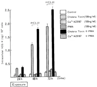Fig.  12  Co-operative  effects  of  Cholera  Toxin,  PMA  and  Ca2+  ionophore  (A23187)  on  intracellular  immunoreactive  hCGƒ¿  levels  per  104  cells  in  cultures  of  BeWo  cells