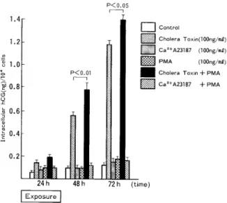 Fig.  14  Co-operative  effects  of  Cholera  Toxin,  PMA  and  Ca2+  ionophore  (A23187)  on  intracellular  immunoreactive  hCG  levels  per  104  cells  in  cultures  of  BeWo  cells