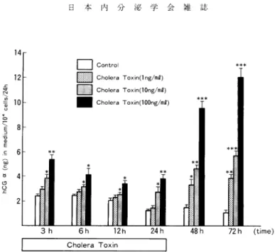 Fig.  1  Effect  of  Cholera  Toxin  on  immunoreactive  hCG  a  release  into  the  medium  per  104  cells  in  cultures  of  BeWo  cells