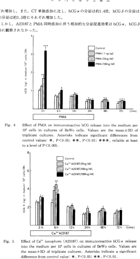 Fig.  4  Effect  of  PMA  on  immunoreactive  hCG  release  into  the  medium  per  10  4  cells  in  cultures  of  BeWo  cells