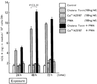 Fig.  6  Co-operative  effects  of  Cholera  Toxin,  PMA  and  Ca2+  ionophore  (A23187)  on  immunoreactive  hCGƒ¿  release  into  the  medium  per  104  cells  in  cultures  of  BeWo  cells