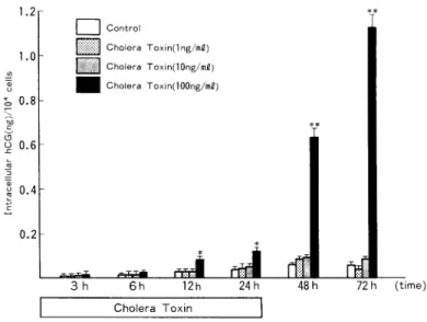 Fig.  10  Effect  of  Cholera  Toxin  on  intracellular  immunoreactive  hCG  levels  per  104  cells  in  cultures  of  BeWo  cells