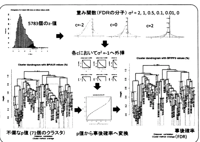 図 1: FDR 計算の概略 . 左下の木の赤い枠は $p_{i}>0.95$ となるクラスタ, 右下の木の