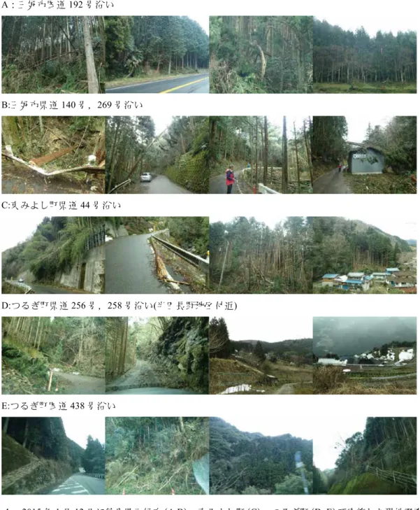 図 4 2015 年 1 月 12 日に徳島県三好市（A,B），東みよし町（C），つるぎ町（D, E）で実施した現地調査時の 写真