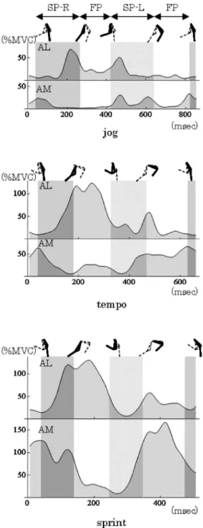 Fig. 4 A typical example of the right leg activity of ad- ad-ductor longus and adad-ductor magnus.