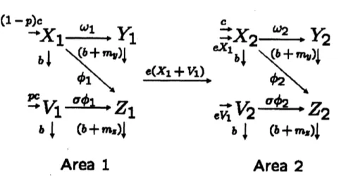 Figure 1: Model schematic showing the vaccination program and the illegal trade or dispersal in poultry Bom Area 1 to Area 2