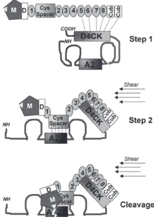 Figure 3  Effect of fresh frozen plasma (FFP) infusion on 