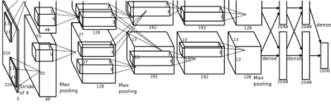 Figure 2: An illustration of the architecture of our CNN, explicitly showing the delineation of responsibilities between the two GPUs
