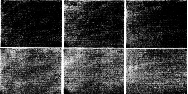 Figure 4 indicates aftereffect of freezing of Tyndall figures from the initial stage of refrozen process to the final stage of the formation of negative crystals