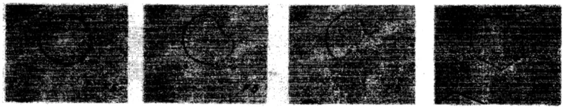 Figure 5: Transformation of a circular figure into a hexagon [10, No.93]; from left to right: