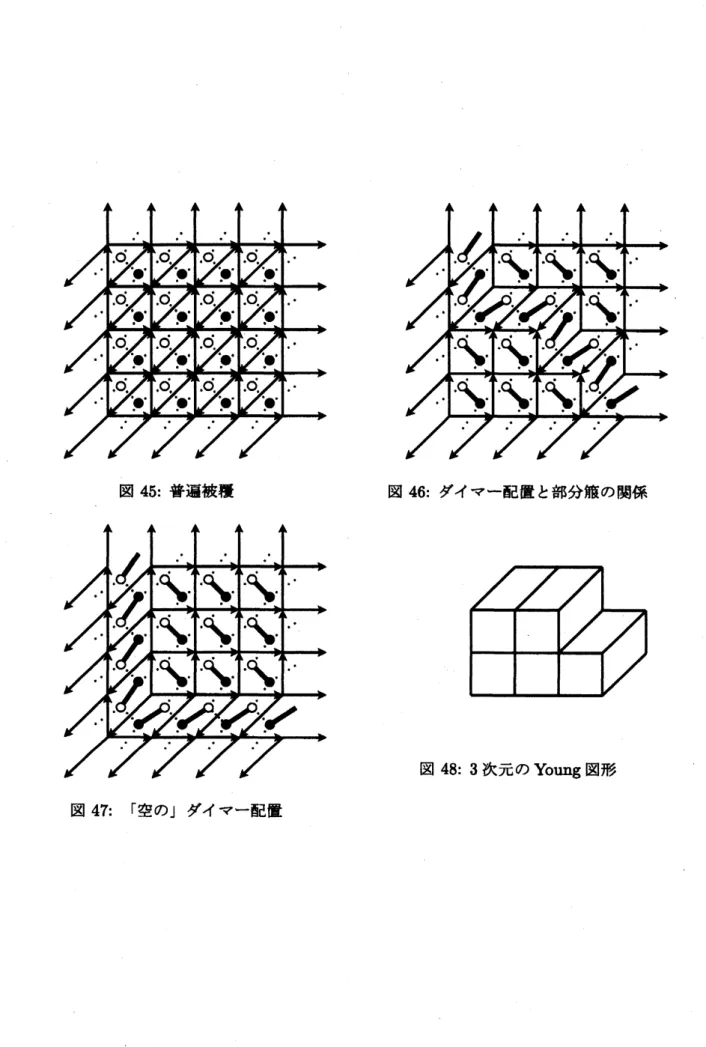 図 45: 普遍被覆 図 46: ダイマー配置と部分簸の関係