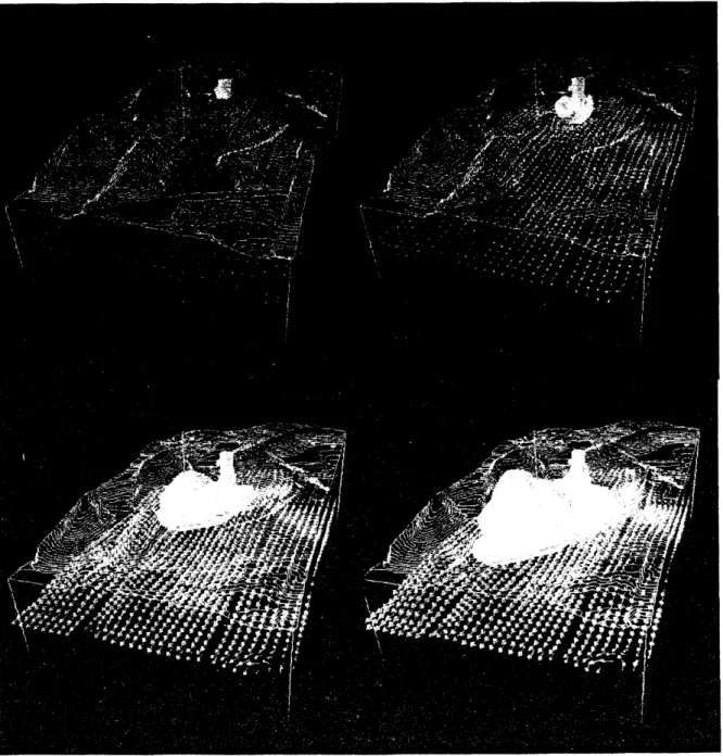 Fig. 2 Contour surface of leachate