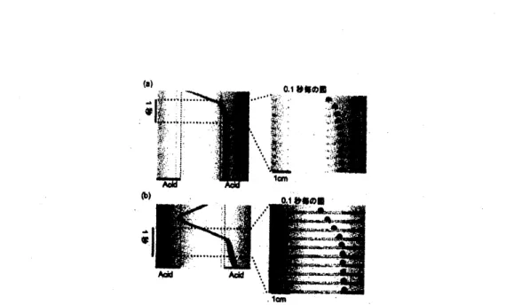 図 3 基板表面の変化による油滴の自発運動への影響の様子。酸で処理された基板表面を両端に持つ細い 基板上での 15 $\mu 1$ の油滴の運動の様子を示した。 0.1 秒毎のスナップショット ( 横から見た図 ) 、 およびそ の – 部分をつなぎ合わせて作られた時空間図を示している。 油滴は酸で処理された基板表而上に入り込み、 (a) 停止あるいは (b) 速度の低下を示した。 図 4 図 2(c) に示された見た目の油滴の長さ $r$ と油滴の速度 $v$ の時間変化の様子。 $v$ と $\math