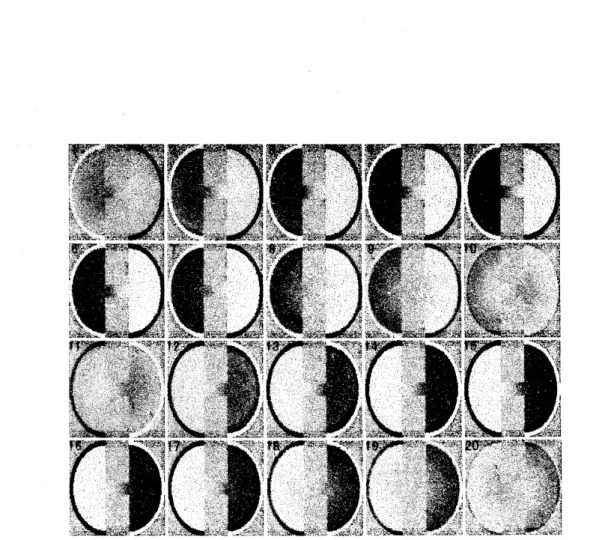 Fig. 11: 仕切りを入れた実験の再現結果。領域をダンベル型に取りました。 その結果、 中央部分で 弱結合位相反転が発生している事がわかります。
