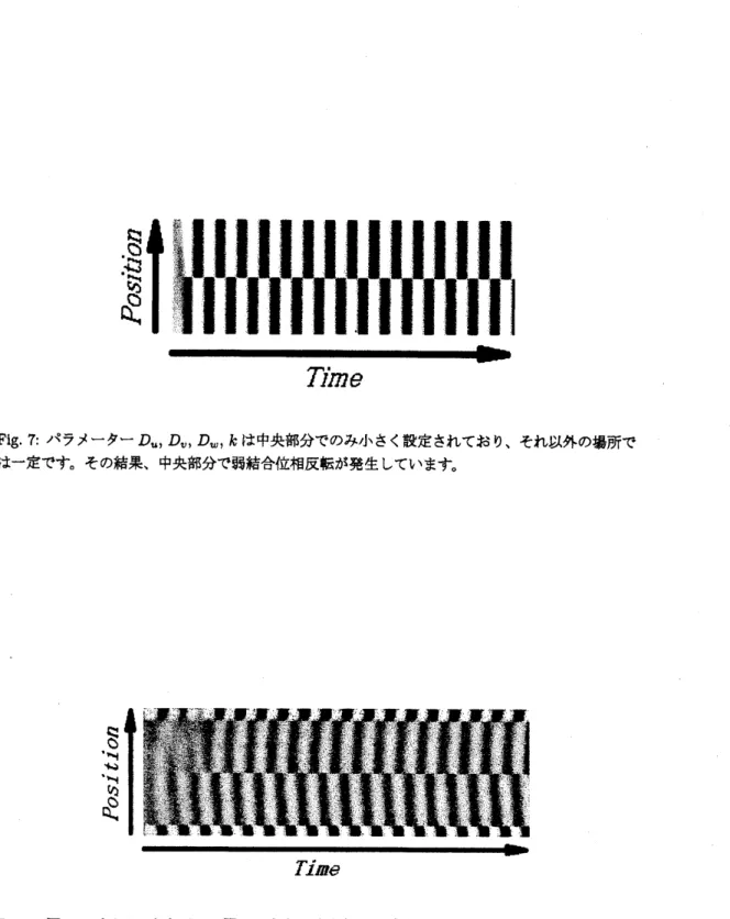 Fig. 7: パラメーター $D_{u},$ $D_{v},$ $D_{w},$ $k$ は中央部分でのみ小さく設定されており、 それ以外の場所で は – 定です。 その結果、 中央部分で弱結合位相反転が発生しています。 Fig