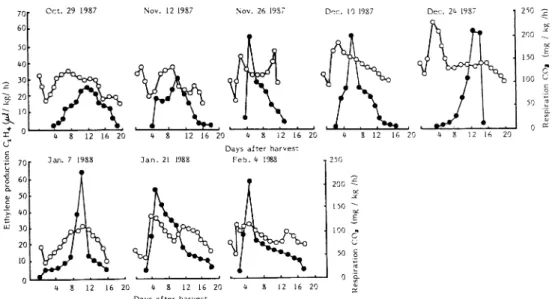 Fig.  1  Changes  in  respiration  and  ethylene  production  of  fruit  of  cv •eZutano•f  harvested  from  October 