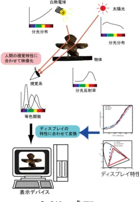 図   8  CG 生成のプロセス  Figure 8  The process of CG rendering 