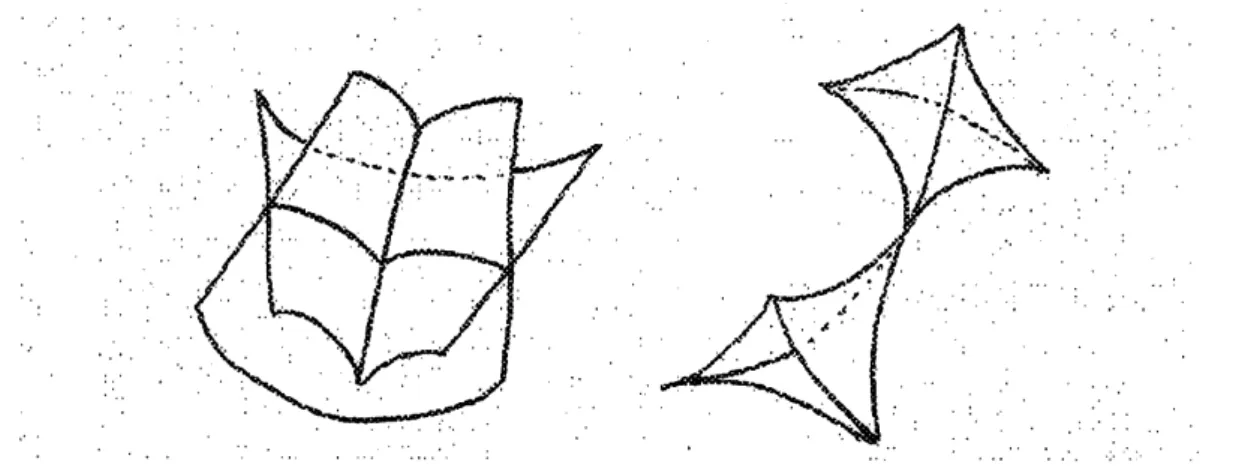 Figure 2: Caustics of $A_{2},$ $A_{3}$ and $A_{4}$ -singularities in the three space