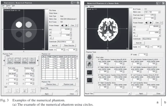 Fig. 3  Examples of the numerical phantom.