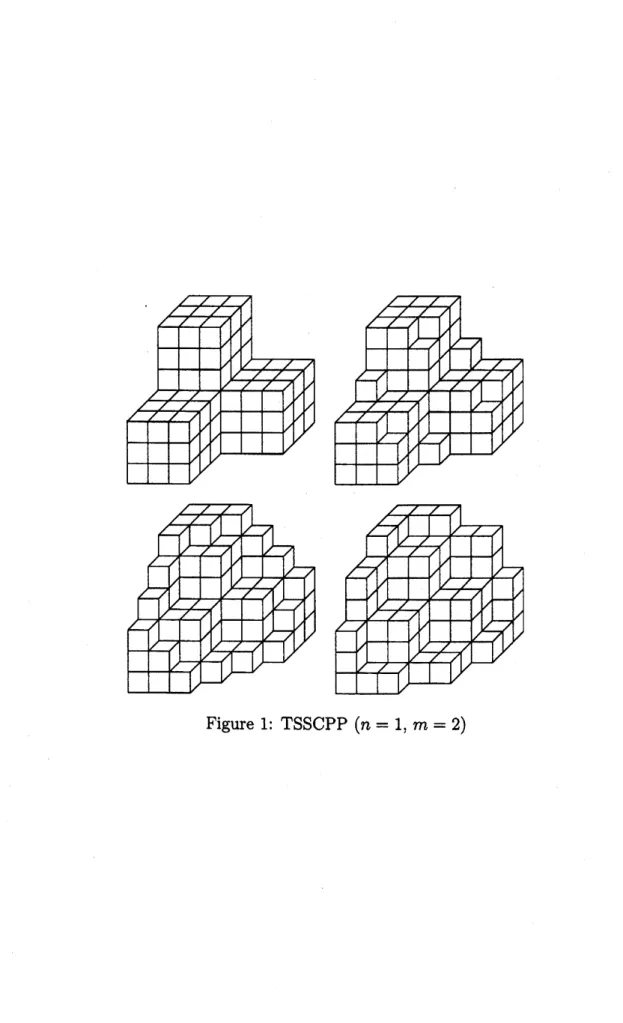 Figure 1: TSSCPP $(n=1., m=2)$