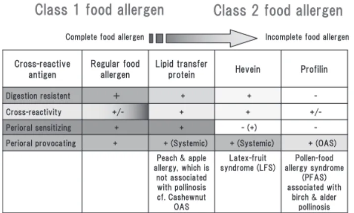 Fig. 4. A probable pathomechanism of late onset anaphylaxis to Bacillus natto-fermented soybeans (natto).