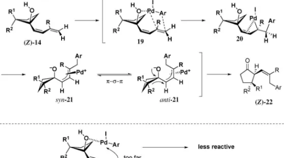 Fig. 5. Rationale for Stereoselectivity of Ring Expansion Reaction
