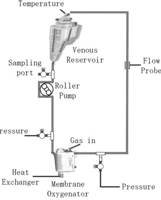 Figure 1  Experimental recirculation circuit