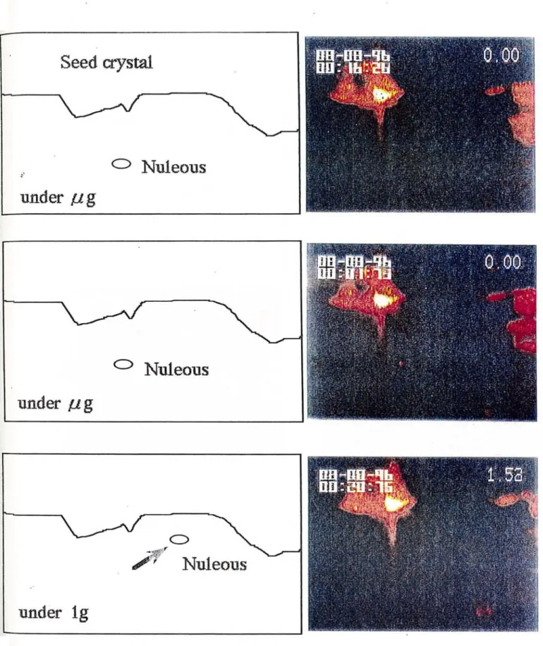 Fig. 2. 9. ( C) 微 小重 力場成立時の微結 晶 の挙動