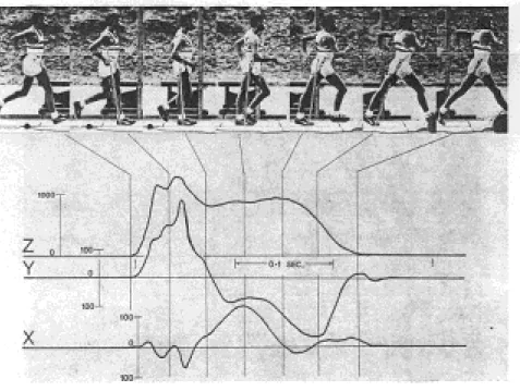 Figure 2.2    The force-time record of one foot during the right foot support phase in race walking