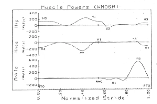 Figure 2.3  Muscle powers at the hip, knee, and foot during one stride of race walking