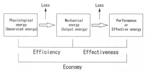 Figure 2.4   Flow of energy in human movement and three Es, i.e. efficiency, economy,  and effectiveness