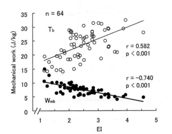 Figure 2.8   Relationships of EI to mechanical work (W Wb ) and mechanical energy transfer 