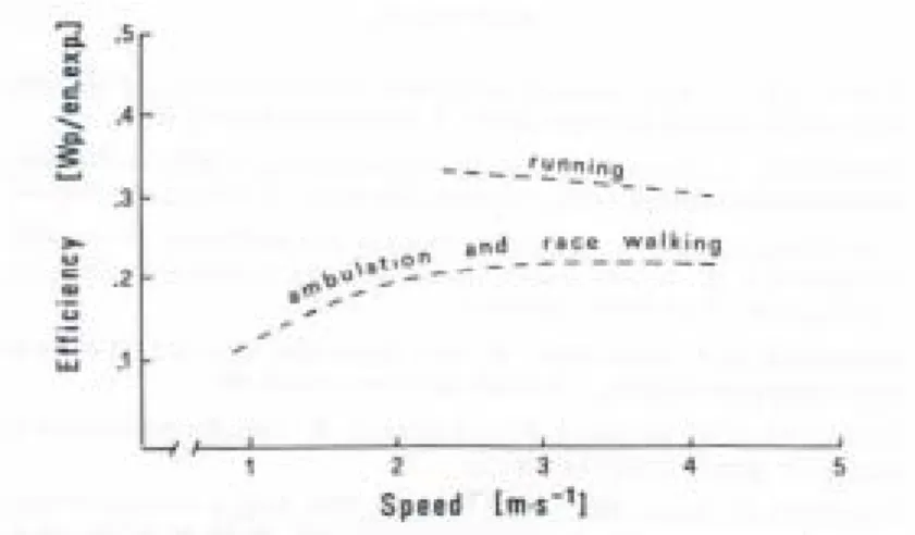 Figure 2.10   Efficiency in amubulation, race walking, and running as a function of the  speed