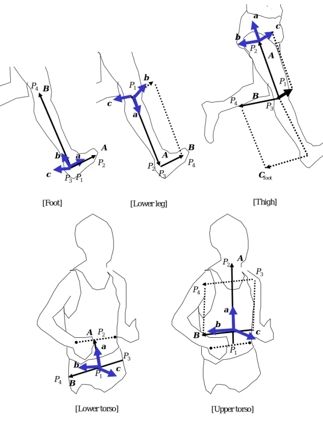 Figure 3.4   Definition of the moving reference frame fixed to the segment.  [Foot]BP3P4AP1P2cab[Lower leg]P3P4P2P1AaBbc[Thigh]P1AP2P3P4bcCfootBa[Lower torso]BP3P4P1P2Acab[Upper torso]BP3P4P1P2Acab