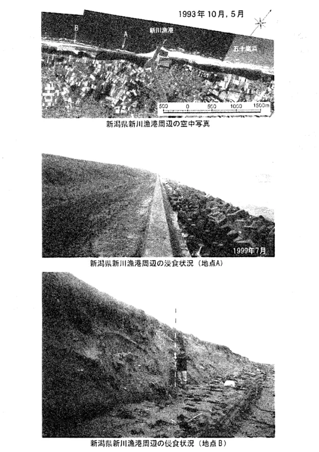図 -1 沿岸漂砂の連続性阻止による侵食の事例 : 新潟県新川漁港周辺