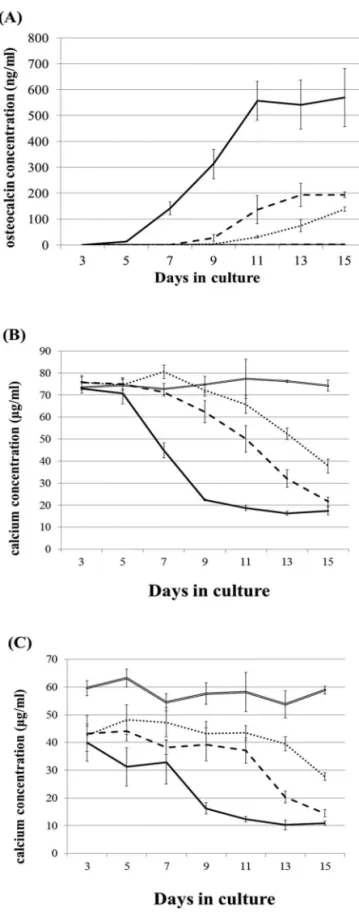 Figure 1.  Changes in osteocalcin secretion (A) and calcium  concentration measured by X-ray fluorescence analysis method  (B) and the commercially available kit (C) in the medium