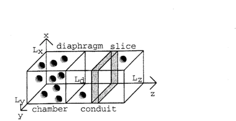 FIG. 1: Geometry of the system. When we calculate physical quantities, we slice the system with a unit length.