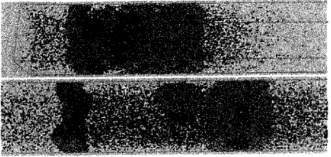 FIG. 3: Snapshots of simulation: (Up) Snapshot at $t=40$ . (Down) Snapshot at $t=170$ 