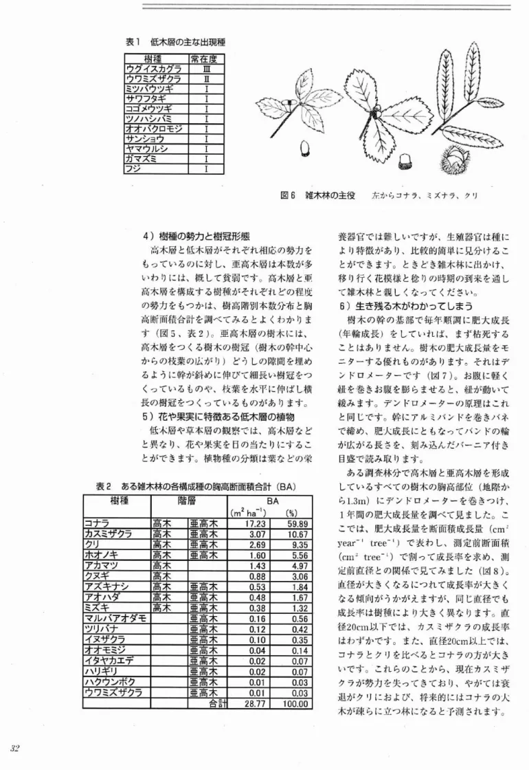 表 1 低木層の主な出現種 E g6 雑木林の主役 左からコナラ.ミズナラ､クr J 4) 樹種の勢力 と樹冠形態 島木層 と低木層がそれぞれ相応の勢力 を もっているo )に対 し､亜高木層は本数が多 いわ りには､耽 して貧弱ですO苗木畑 と群 馬木屑 を構成する樹樺がそれぞれ どの程r l の勢力 をもつかは､樹高階別本数分布 と胸 高断而楕合計を調べてみ るとよ くわか りま す ( 図 5 ､衷 2 ) ｡車 高木屑の樹木には､ 拓木屑 をつ くる樹 木の樹冠 ( 樹木の幹中心 か らの枝兼のJ 