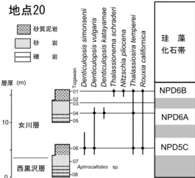 Fig. 9 Sample localities and columnar sections at site Tg.