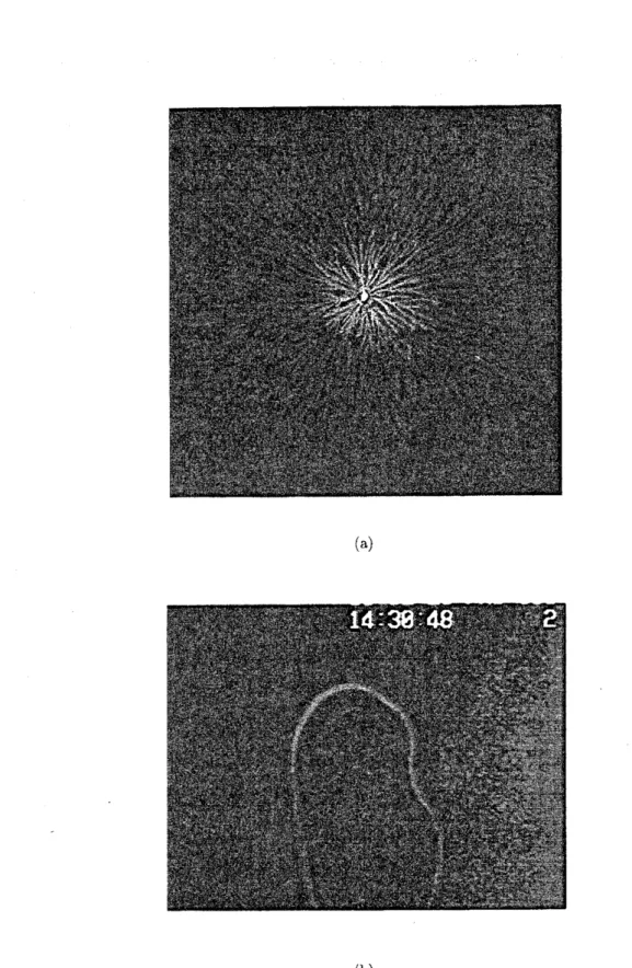 図 5: 領域 $\mathrm{E}$ での (a) $\mathrm{D}\mathrm{B}$ M 的なコロニーと (b) その成長先端の “指の爪” 構造