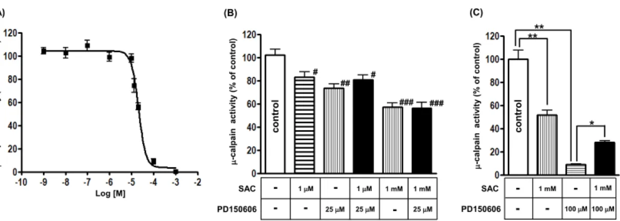 Fig. 14. Effects of SAC on inhibition of -calpain by PD150606. (A) Inhibition curve of -calpain  with varying concentrations of PD150606 was created by curve fitting as described in Materials and  Methods