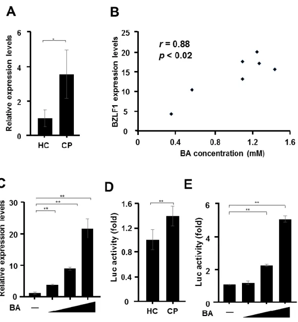 Figure  2. Induction  of BZLF1 gene expression by the saliva of CP patients. 