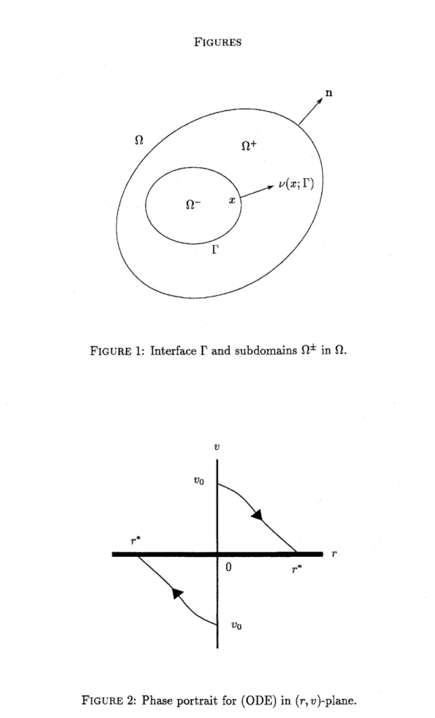 FIGURE 1: Interface $\Gamma$ and subdomains $\Omega^{\pm}$ in $\Omega$ .