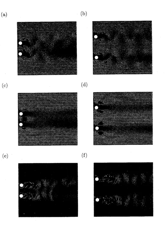 図 6: PIV 測定により得られた速度場 . (a), (b) 瞬間速度場 . (c), (d) 平均速度場 . (e), (f) 撹乱速度場. (a), (c), (e) 同位相周期流 $Re=130,$ $\Gamma=2.0$ 