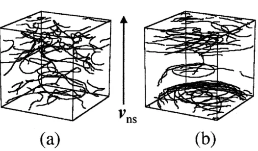 図 4: $q=0.\prime 3(\mathrm{a})$ と $q=0.6(\mathrm{b})$ で形成される渦糸ダングルの内部構造。 矢印はカウンターブローの方
